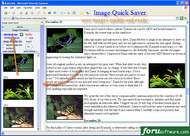 image quick saver screenshot